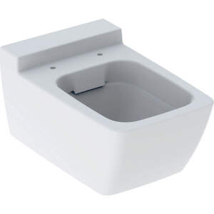 Geberit Xeno 2 - Závesné WC bez splachovacieho kruhu, 540 mm x 350 mm, biele 500.500.01.1
