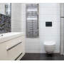 Sanela - Elektronický dotykový splachovač WC s elektronikou ALS do montážneho rámu SLR 21, farba skla REF 9005 čierna, podsvietenie biele, 24 V DC